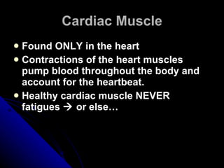 Cardiac Muscle Found ONLY in the heart Contractions of the heart muscles pump blood throughout the body and account for the heartbeat. Healthy cardiac muscle NEVER fatigues    or else… 