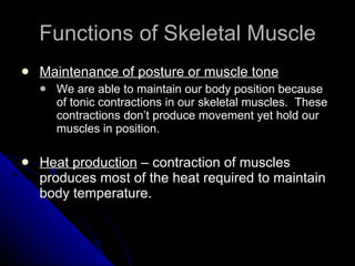 Functions of Skeletal Muscle Maintenance of posture or muscle tone We are able to maintain our body position because of tonic contractions in our skeletal muscles.  These contractions don’t produce movement yet hold our muscles in position. Heat production  – contraction of muscles produces most of the heat required to maintain body temperature. 