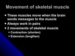 Movement of skeletal muscle These muscles move when the brain sends messages to the muscle Always work in pairs 2 movements of skeletal muscle Contraction (shorten) Extension (lengthen) 