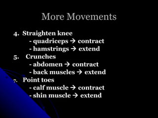 4.  Straighten knee   - quadriceps    contract   - hamstrings    extend 5.   Crunches - abdomen    contract - back muscles    extend Point toes - calf muscle    contract - shin muscle    extend More Movements 