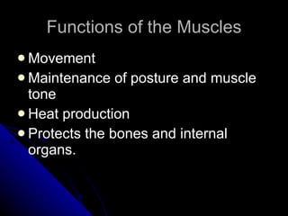 Functions of the Muscles Movement Maintenance of posture and muscle tone Heat production Protects the bones and internal organs. 