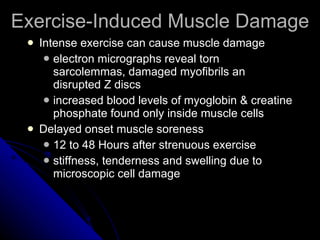 Exercise-Induced Muscle Damage Intense exercise can cause muscle damage electron micrographs reveal torn sarcolemmas, damaged myofibrils an disrupted Z discs increased blood levels of myoglobin & creatine phosphate found only inside muscle cells Delayed onset muscle soreness 12 to 48 Hours after strenuous exercise stiffness, tenderness and swelling due to microscopic cell damage 