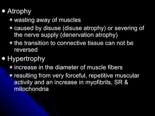 Atrophy wasting away of muscles caused by disuse (disuse atrophy) or severing of the nerve supply (denervation atrophy) the transition to connective tissue can not be reversed Hypertrophy increase in the diameter of muscle fibers  resulting from very forceful, repetitive muscular activity and an increase in myofibrils, SR & mitochondria 