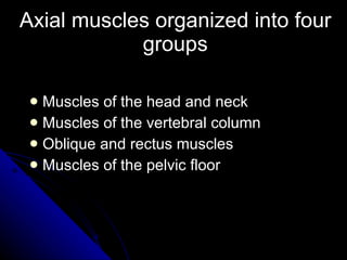Axial muscles organized into four groups Muscles of the head and neck Muscles of the vertebral column Oblique and rectus muscles Muscles of the pelvic floor 
