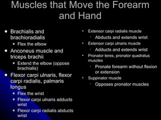 Muscles that Move the Forearm and Hand Brachialis and brachioradialis Flex the elbow Anconeus muscle and triceps brachii Extend the elbow (oppose brachialis) Flexor carpi ulnaris, flexor carpi radialis, palmaris longus Flex the wrist Flexor carpi ulnaris adducts wrist Flexor carpi radialis abducts wrist Extensor carpi radialis muscle Abducts and extends wrist Extensor carpi ulnaris muscle Adducts and extends wrist Pronator teres, pronator quadratus muscles Pronate forearm without flexion or extension Suppinator muscle Opposes pronator muscles 