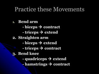 Practice these Movements <ul><li>Bend arm </li></ul><ul><li>- biceps    contract </li></ul><ul><li>- triceps    extend <...