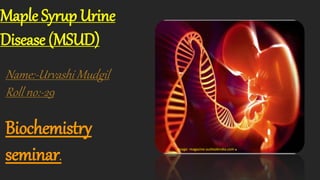 Name:-Urvashi Mudgil
Roll no:-29
Biochemistry
seminar.
Maple Syrup Urine
Disease (MSUD)
Image: magazine.outlookindia.com.
 