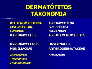 DERMATÓFITOS
            TAXONOMIA
DEUTEROMYCOTINA   ASCOMYCOTINA
FASE ASSEXUADA    FASE SEXUADA
CONIDIOS          ASCOSPOROS
HYPHOMYCETES      ASCOHYMENOMYCETES

HYPHOMYCETALES    ONYGENALES
MONILIACEAE       ARTHRODERMATACEAE
Microsporum       Arthroderma
Trichophyton
Epidermophyton
 