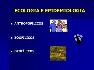 ECOLOGIA E EPIDEMIOLOGIA

   ANTROPOFÍLICOS



   ZOOFÍLICOS



   GEOFÍLICOS
 