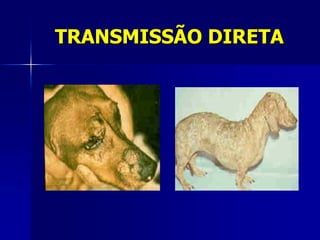 TRANSMISSÃO DIRETA
 
