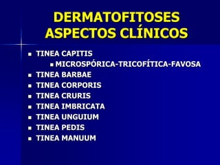 DERMATOFITOSES
     ASPECTOS CLÍNICOS
   TINEA CAPITIS
        MICROSPÓRICA-TRICOFÍTICA-FAVOSA

   TINEA BARBAE
   TINEA CORPORIS
   TINEA CRURIS
   TINEA IMBRICATA
   TINEA UNGUIUM
   TINEA PEDIS
   TINEA MANUUM
 