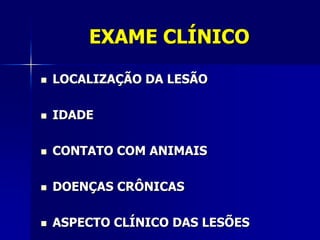 EXAME CLÍNICO

   LOCALIZAÇÃO DA LESÃO

   IDADE

   CONTATO COM ANIMAIS

   DOENÇAS CRÔNICAS

   ASPECTO CLÍNICO DAS LESÕES
 