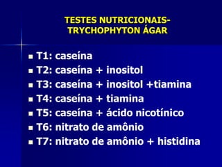 TESTES NUTRICIONAIS-
          TRYCHOPHYTON ÁGAR

   T1: caseína
   T2: caseína + inositol
   T3: caseína + inositol +tiamina
   T4: caseína + tiamina
   T5: caseína + ácido nicotínico
   T6: nitrato de amônio
   T7: nitrato de amônio + histidina
 