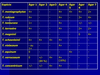 Espécie             Ágar 1 Ágar 2 ágar3 Ágar 4 Ágar   Ágar   Ágar 7
                                               5      6
T. mentagrophytes   4+     -        -    4+      4+   4+     2+

T. rubrum           4+     -        -    4+      -    3+     4+

T. tonsurans        1+     -        -    4+      -    +/-    +/-

T. terrestre        4+     -        -    4+      -    2+     2+

T. megninii         -      -        -    -       -    0      4+

T. schoenleinii     4+     4+       4+   4+      -    -      -

T. violaceum        - ou   -        -    4+      -    -      -
                    1+
T. equinum          0      -        -    -       4+   -      -

T. verrucosum       0      +/-      4+   4+      -    -      -
                           (84 %)        (16%)

T. concentricum     +/-    +/-      4+   4+      -    -      -
 