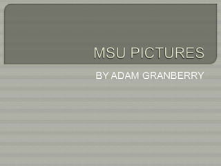 Msu pictures