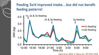 Feeding 3x/d improved intake…but did not benefit
feeding patterns!
0.0
1.0
2.0
3.0
4.0
12:00 15:00 18:00 21:00 0:00 3:00 6:00 9:00
DMI(kg)
Time (h)
1x feeding
2x feeding
3x feeding
1x, 2x & 3x feeding
2x & 3x feeding
Hart et al. 2014. J. Dairy Sci. 97:1713-1724.
 