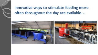 Innovative ways to stimulate feeding more
often throughout the day are available…
 