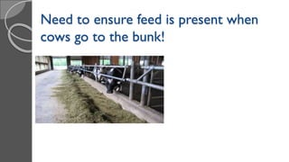Need to ensure feed is present when
cows go to the bunk!
 