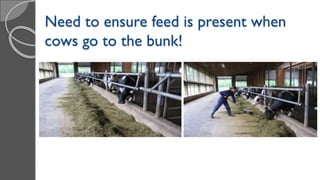 Need to ensure feed is present when
cows go to the bunk!
 
