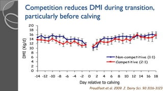 0
2
4
6
8
10
12
14
16
18
20
-14 -12 -10 -8 -6 -4 -2 0 2 4 6 8 10 12 14 16 18
Non-competitive (1:1)
Competitive (2:1)
Day relative to calving
DMI(Kg/d)
Proudfoot et al. 2009. J. Dairy Sci. 92:3116-3123
Competition reduces DMI during transition,
particularly before calving
 