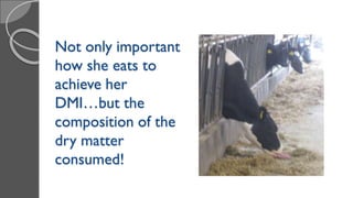 Not only important
how she eats to
achieve her
DMI…but the
composition of the
dry matter
consumed!
 