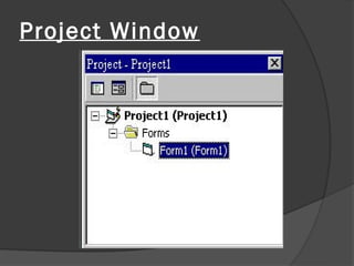 Project Window
 