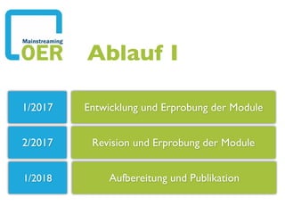 Entwicklung und Erprobung der Module
Revision und Erprobung der Module
1/2017
2/2017
1/2018 Aufbereitung und Publikation
Ablauf I
 