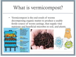 Municipal solid waste management and disposal methods | PPTX