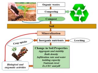 Municipal solid waste management and disposal methods | PPTX