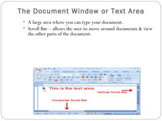 The Document Window or Text Area 
• A large area where you can type your document. 
• Scroll Bar – allows the user to move around documents & view 
the other parts of the document. 
 