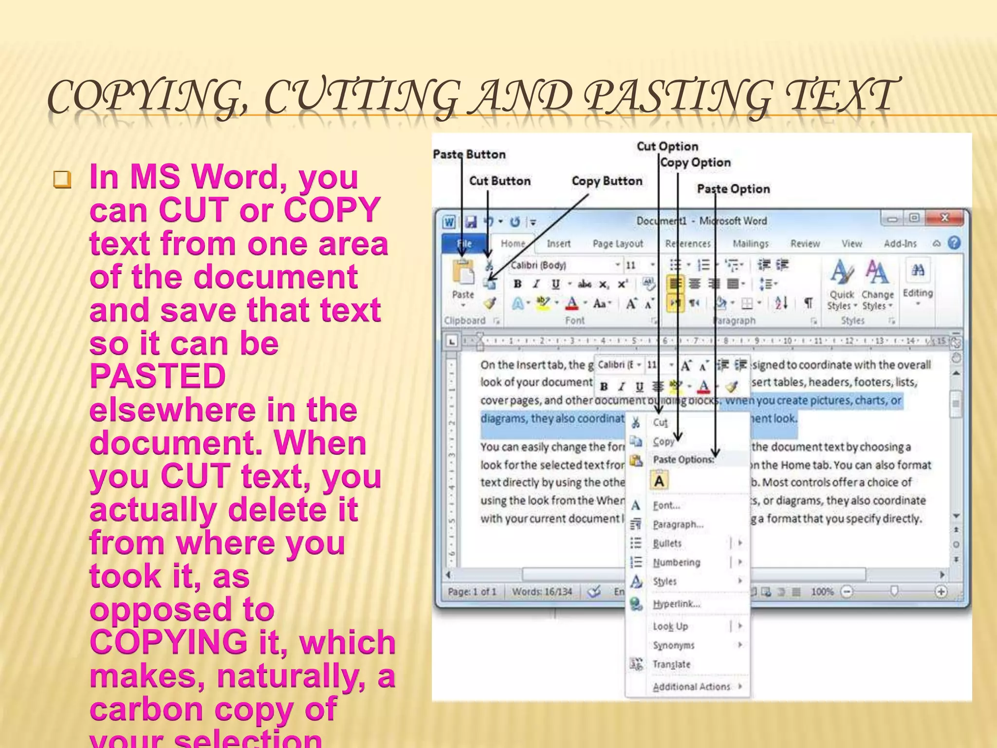 Ms word | PPTX