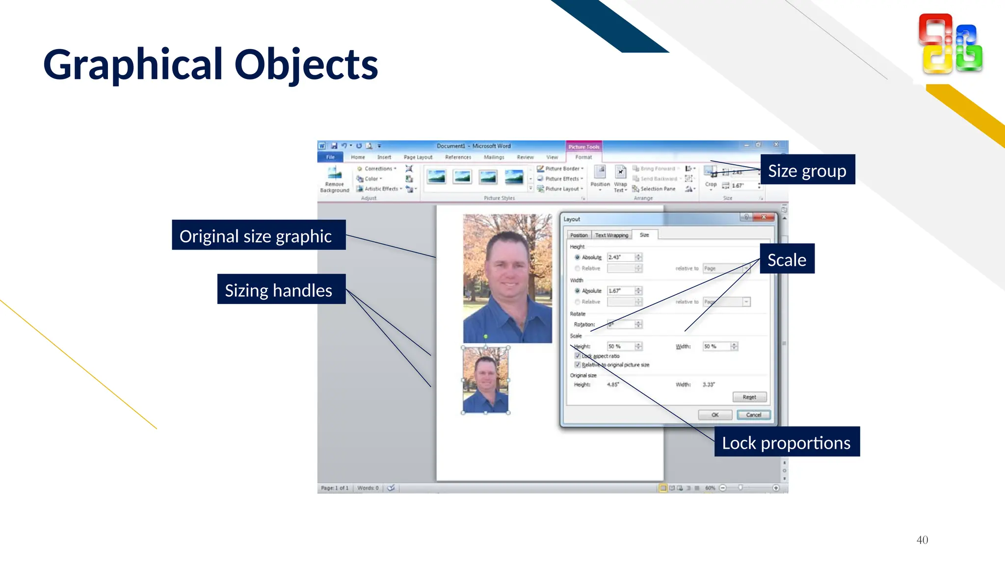FR
Graphical Objects
40
Sizing handles
Original size graphic
Size group
Scale
Lock proportions
 