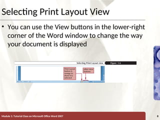 XP
XP
Selecting Print Layout View
• You can use the View buttons in the lower-right
corner of the Word window to change the way
your document is displayed
Module 1: Tutorial Class on Microsoft Office Word 2007 8
 