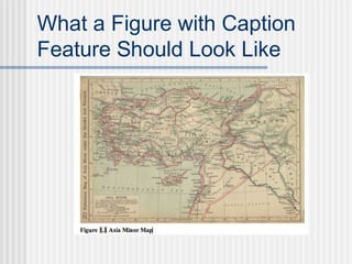What a Figure with Caption
Feature Should Look Like
 
