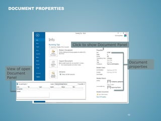 10 
DOCUMENT PROPERTIES 
Document 
properties 
Click to show Document Panel 
View of open 
Document 
Panel 
 