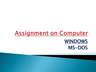 WINDOWS 
MS-DOS 
 
