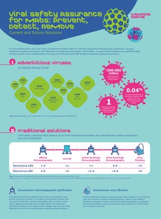 Viral Risk Mitigation - A Global Regulatory Perspective | PDF