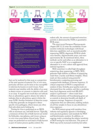 Viral Risk Mitigation - A Global Regulatory Perspective | PDF