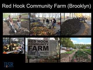 Red Hook Community Farm (Brooklyn)
 
