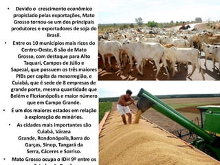Os principais sistemas produtivos eram a mineração, cana-de-açúcar, erva-mate, poaia, borracha e pecuária.