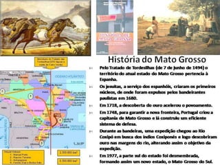 A pirâmide social baseava-se somente em mineradores e escravos.