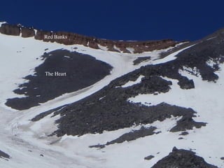 The Heart
Red Banks
 