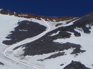 The Heart
Red Banks
 