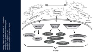 BeckyAMercerandJeanineMD’Armiento
EmergingroleofMAPkinasepathwaysas
therapeutictargetsinCOPD
InternationalJournalofCOPD2006:1(2)137–150
 