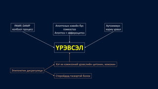 PAMP, DAMP
холбоот процесс
Апоптозын хэвийн бус
гомеостаз
Апоптоз > эффероцитоз
Аутоиммун
хариу урвал
ҮРЭВСЭЛ
Эпигенетик дисрегуляци
Хэт их хэмжээний үрэвслийн цитокин, хемокин
Стеройдод тэсвэртэй болох
 
