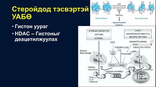 Стеройдод тэсвэртэй
УАБӨ
• Гистон уураг
• HDAC – Гистоныг
деацетилжуулах
 
