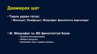 Даамжрах шат
• Тамхи удаан татах:
• Моноцит, Лимфоцит, Макрофаг фенотипээ өөрчилдөг
• Ж: Макрофаг нь М2 фенотиптэй болж
• Үрэвсэл хязгаарлагдмал
• Фиброз эхлүүлнэ
• Бактерийн эсрэг чадамж суларна
 