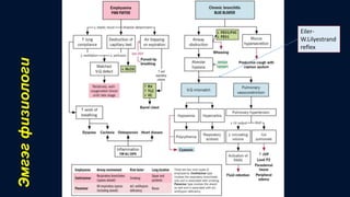 Eiler-
W.Lilyestrand
reflex
Эмгэгфизиологи
 