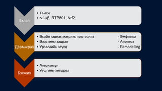 Эхлэл
• Тамхи
• NF-kβ, RTP801, Nrf2
Даамжрах
• Эсийн гаднах матрикс протеолиз - Эмфизем
• Эластины задрал - Апоптоз
• Үрэвслийн эсүүд - Remodelling
Бэхжих
• Аутоиммун
• Уушгины хөгшрөл
 