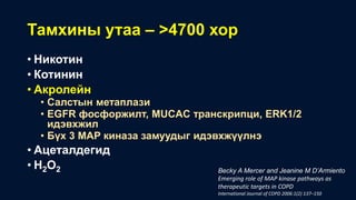 Тамхины утаа – ˃4700 хор
• Никотин
• Котинин
• Акролейн
• Салстын метаплази
• EGFR фосфоржилт, MUCAC транскрипци, ERK1/2
идэвхжил
• Бүх 3 MAP киназа замуудыг идэвхжүүлнэ
• Ацеталдегид
• H2O2 Becky A Mercer and Jeanine M D’Armiento
Emerging role of MAP kinase pathways as
therapeutic targets in COPD
International Journal of COPD 2006:1(2) 137–150
 